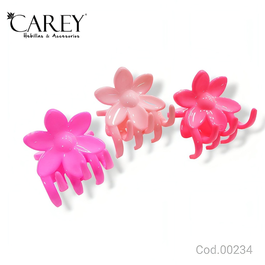 BROCHES CAREY                               SI234