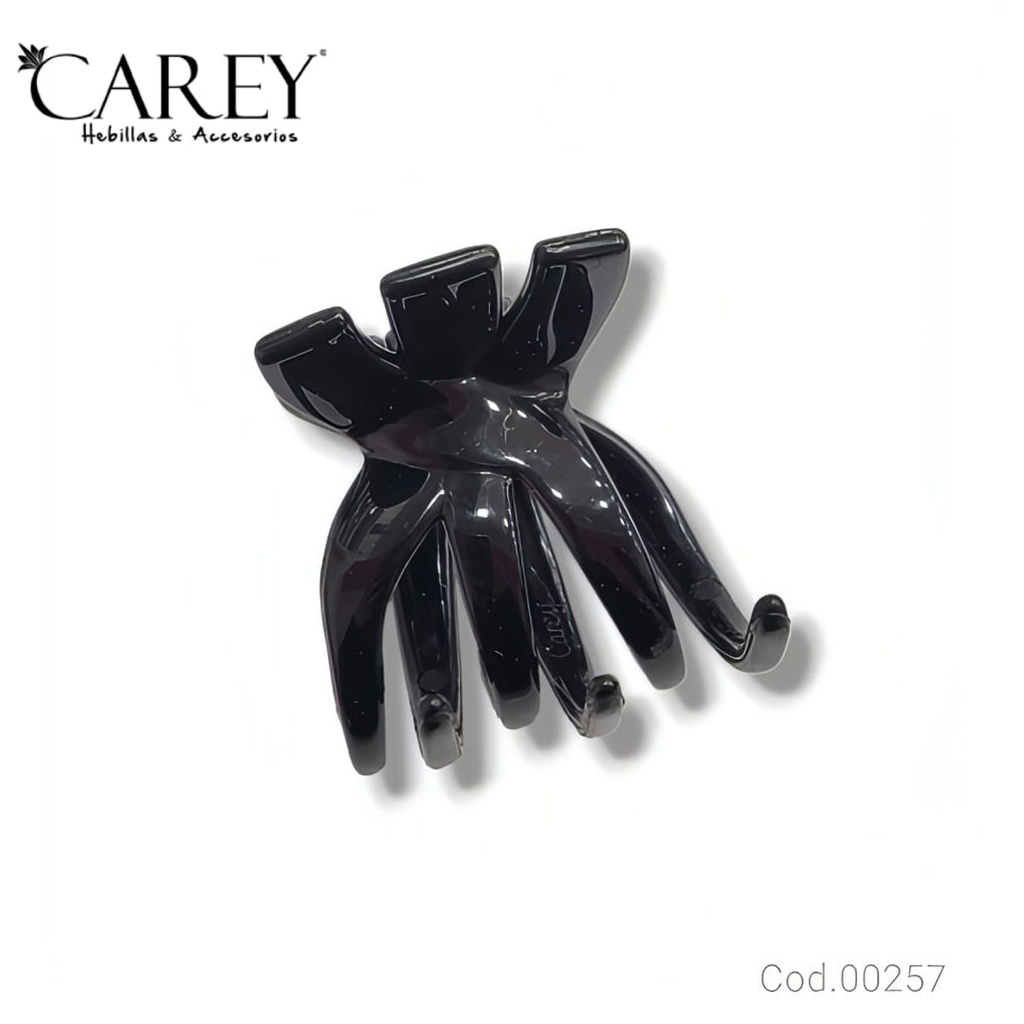 BROCHE CAREY                               SI257