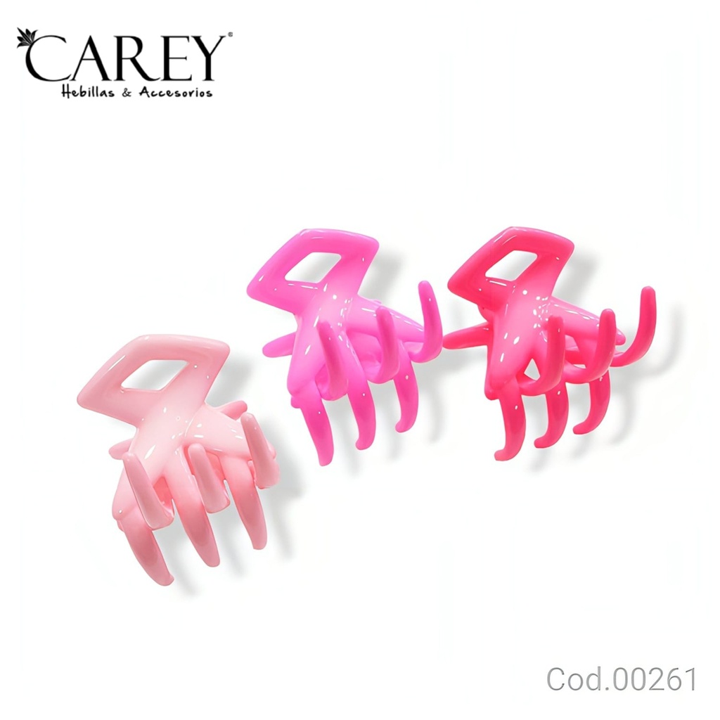 BROCHE CAREY                               SI261