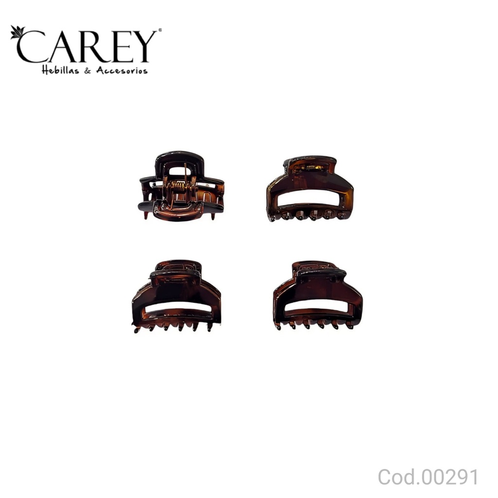 BROCHES CAREY                               SI291