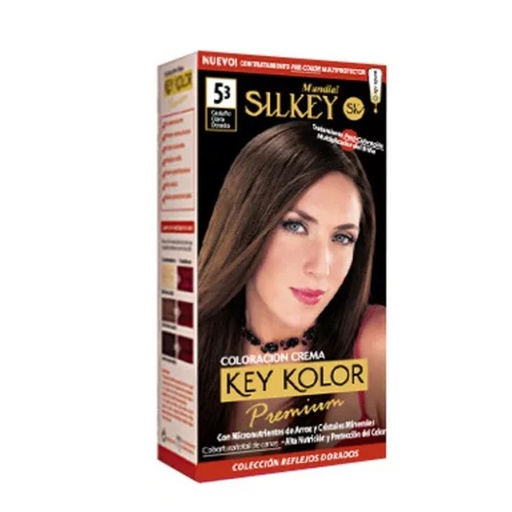 [SK700.5.1] CASTAÑO CLARO CENIZA COLOR PREMIUM KIT SK700.5.1