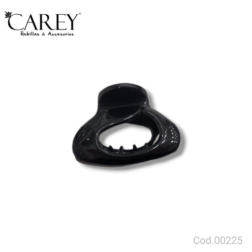 [SI225] BROCHE CAREY                               SI225