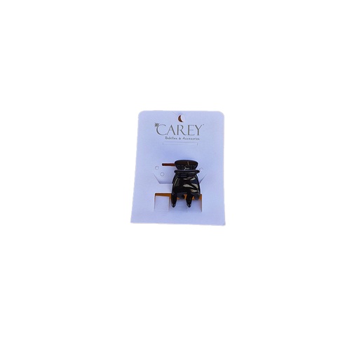 [SI244] BROCHES CAREY                               SI244
