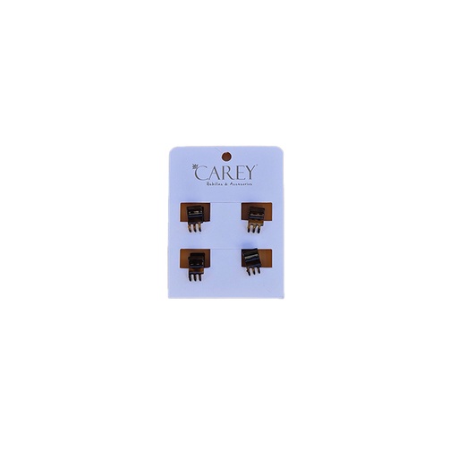 [SI294] BROCHES CAREY                               SI294