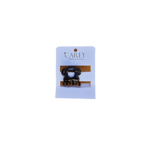 [SI300] BROCHE CAREY                               SI300