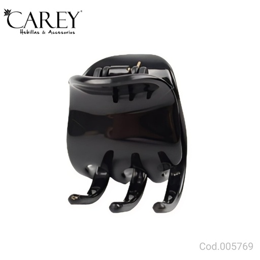 [SI5769] BROCHE CAREY                               SI5769